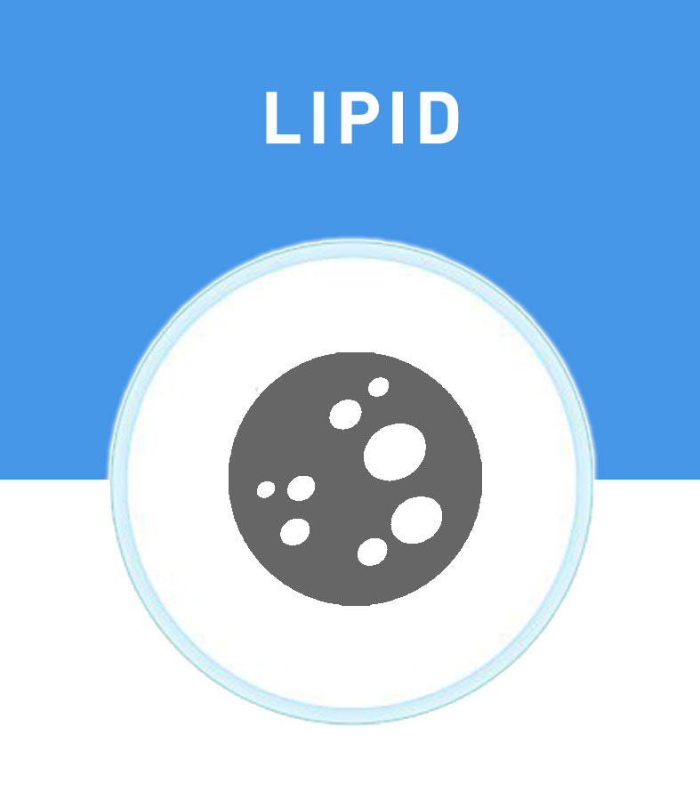 Lipid
