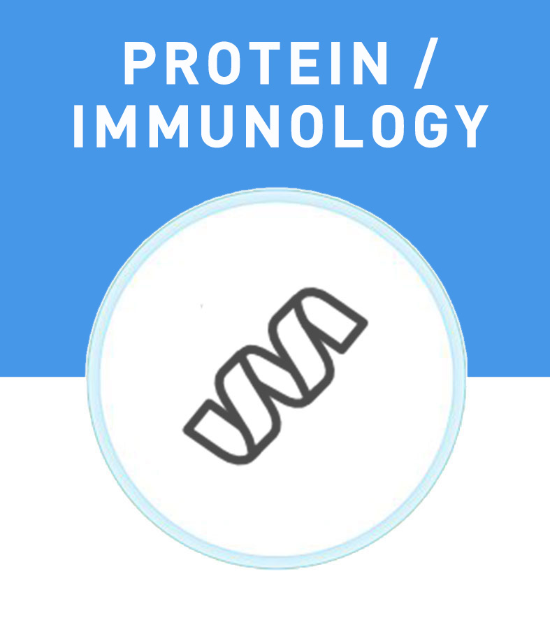 Protein Immunology